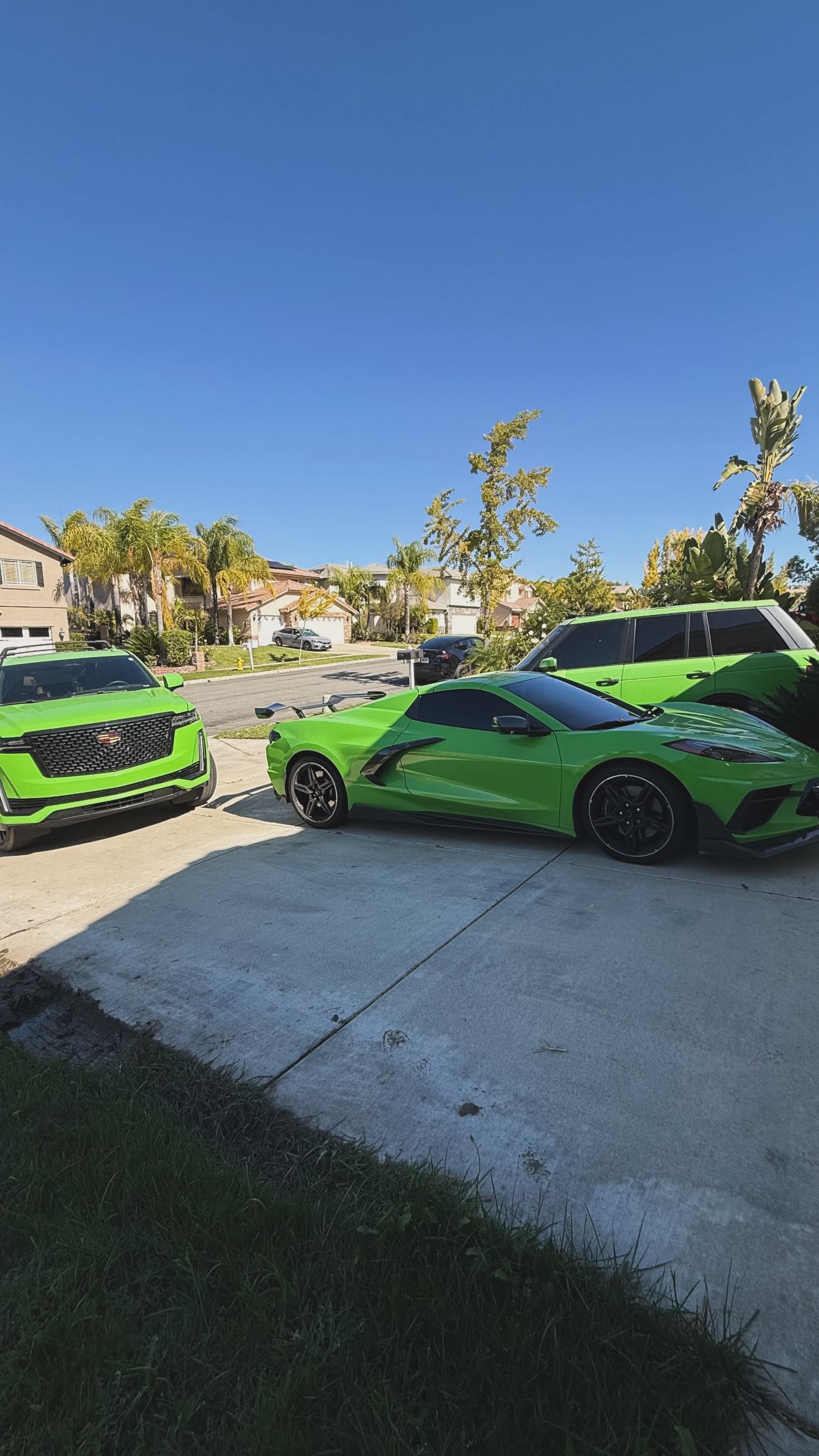 zommmbri instagram image archive image