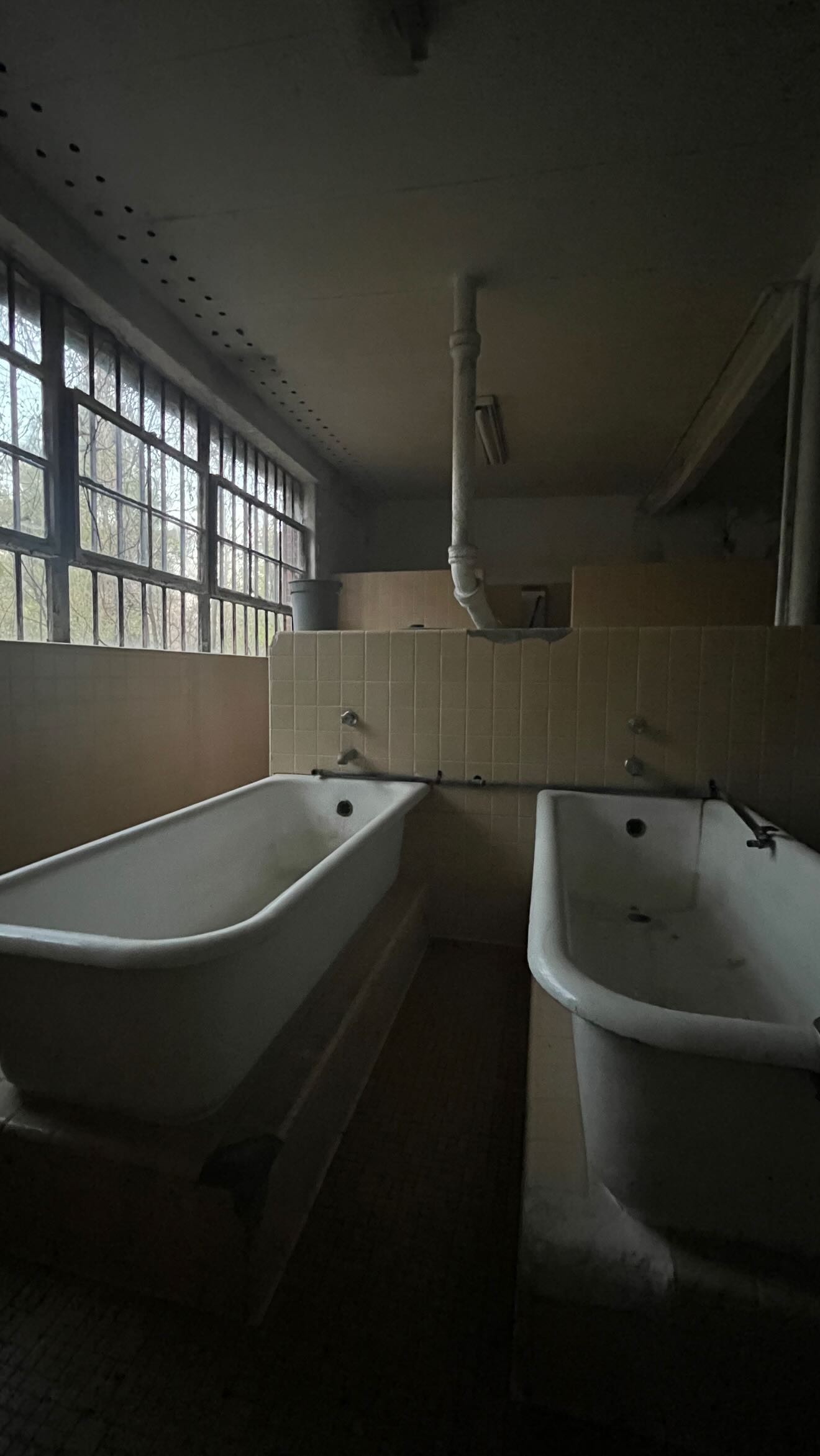 zommmbri instagram image archive image