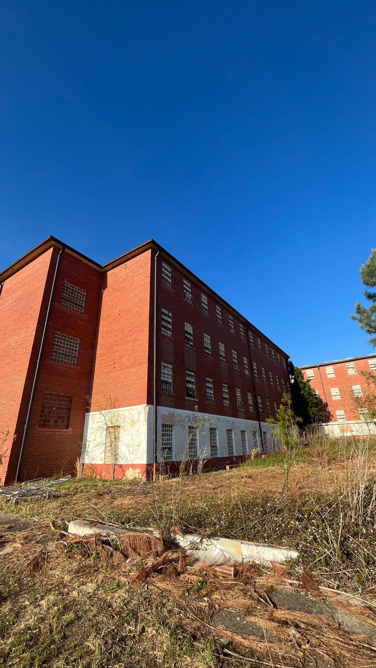 zommmbri instagram image archive image