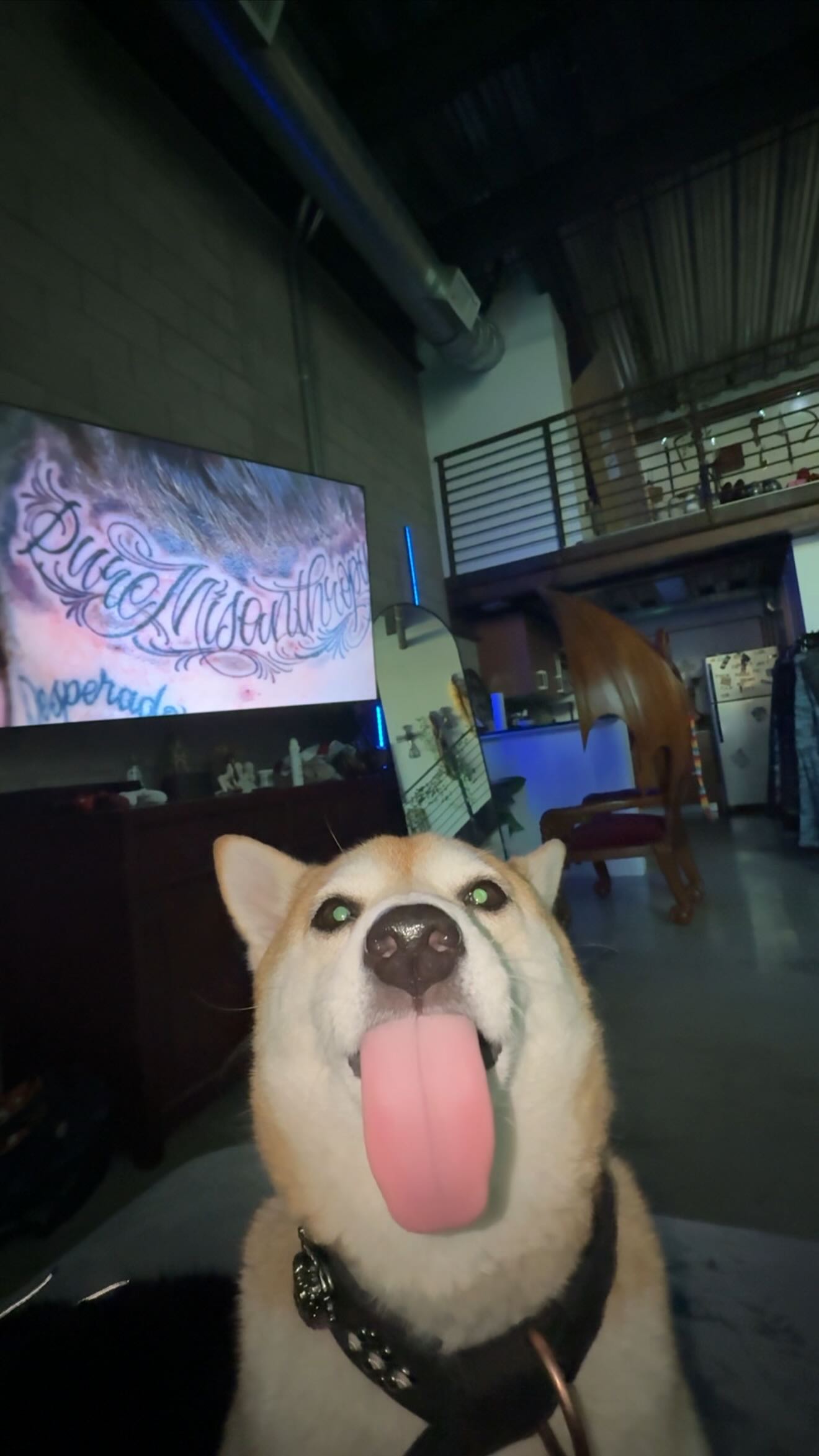 zommmbri instagram image archive image