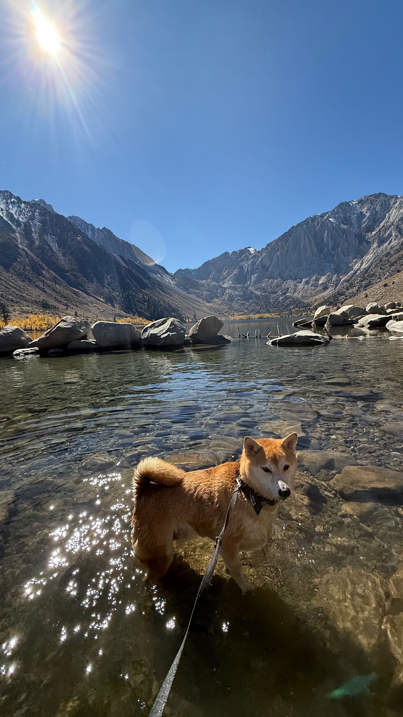 zommmbri instagram image archive image