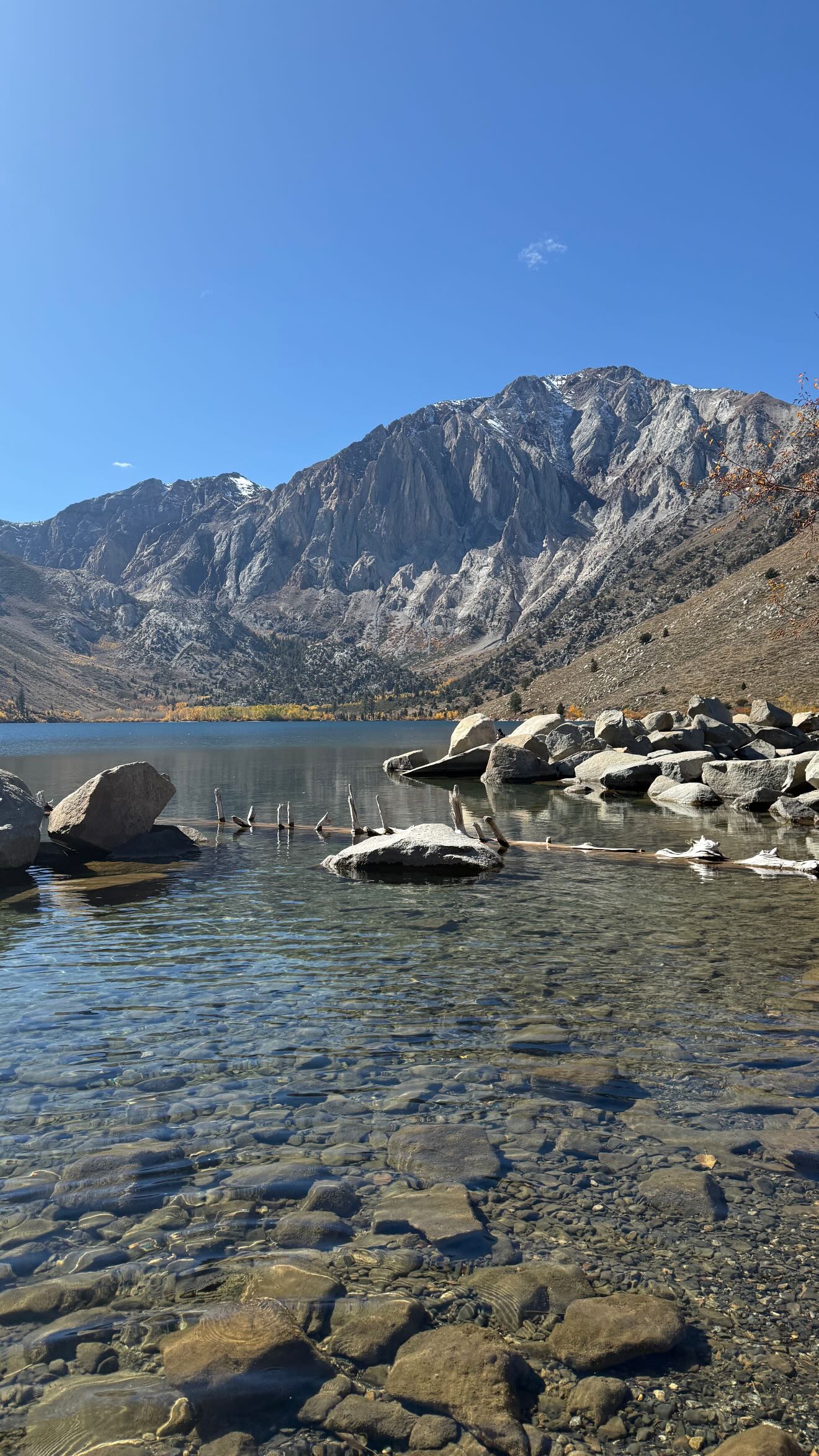 zommmbri instagram image archive image