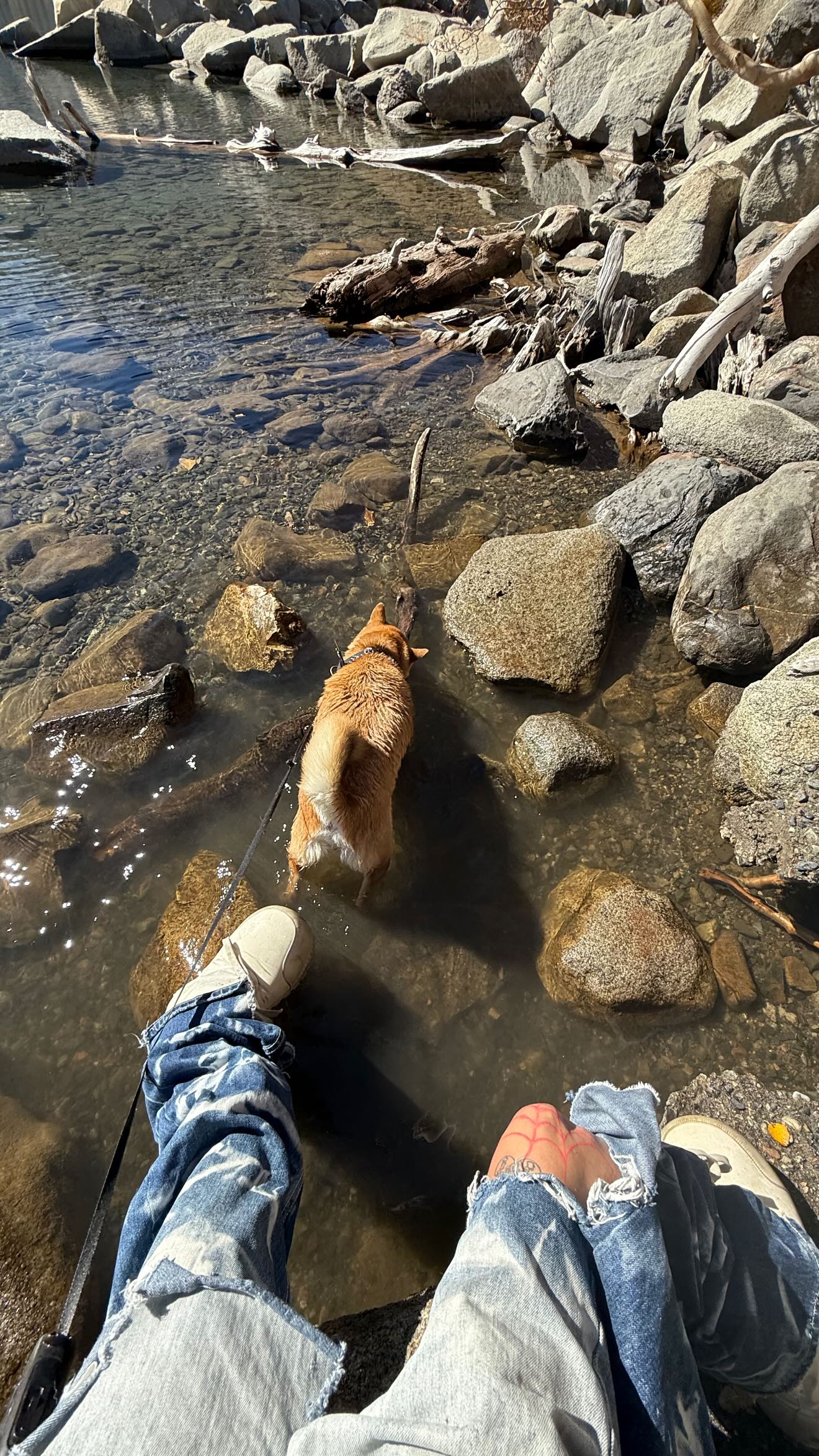 zommmbri instagram image archive image