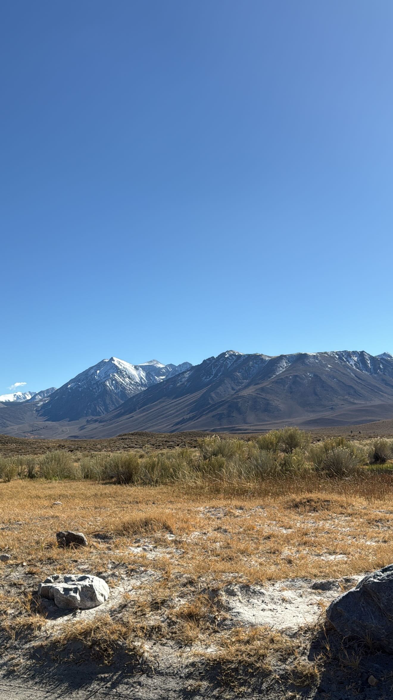 zommmbri instagram image archive image