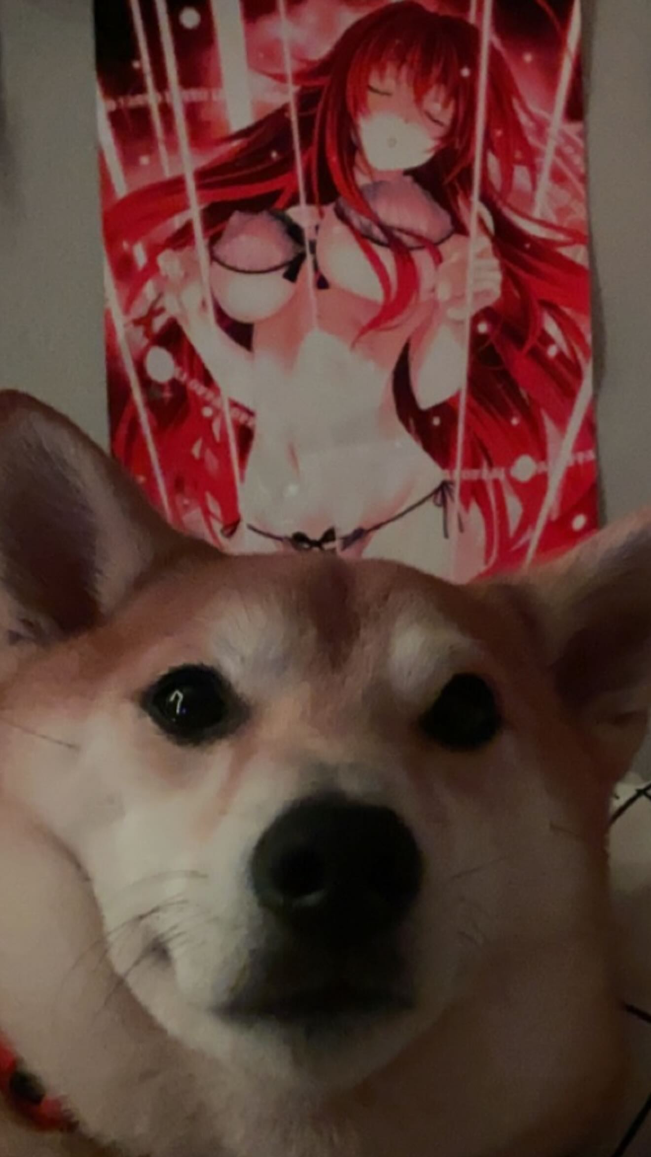 zommmbri instagram image archive image