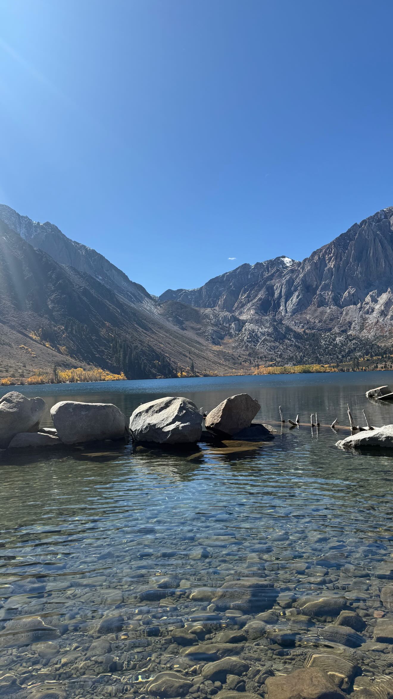 zommmbri instagram image archive image