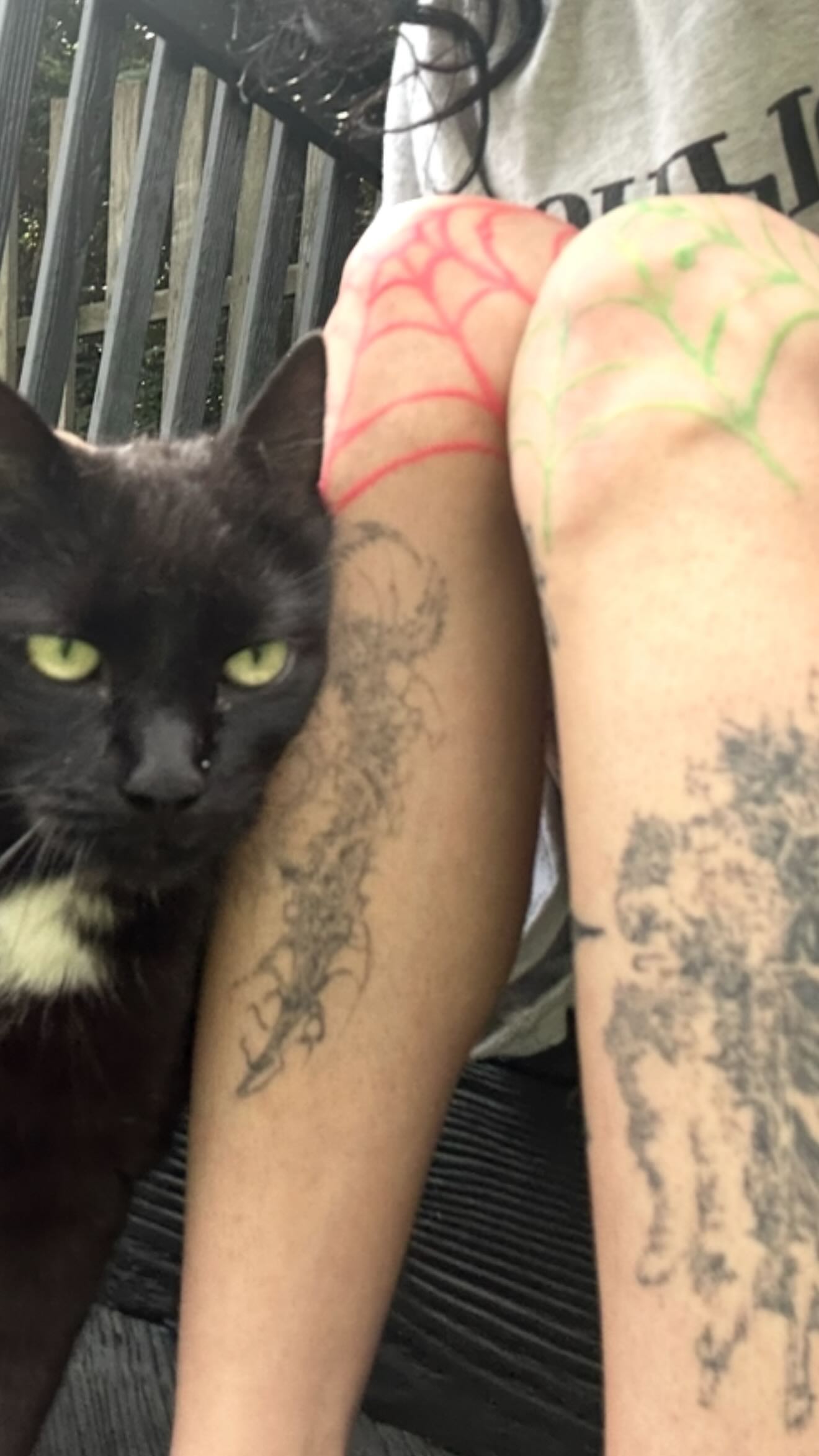 zommmbri instagram image archive image