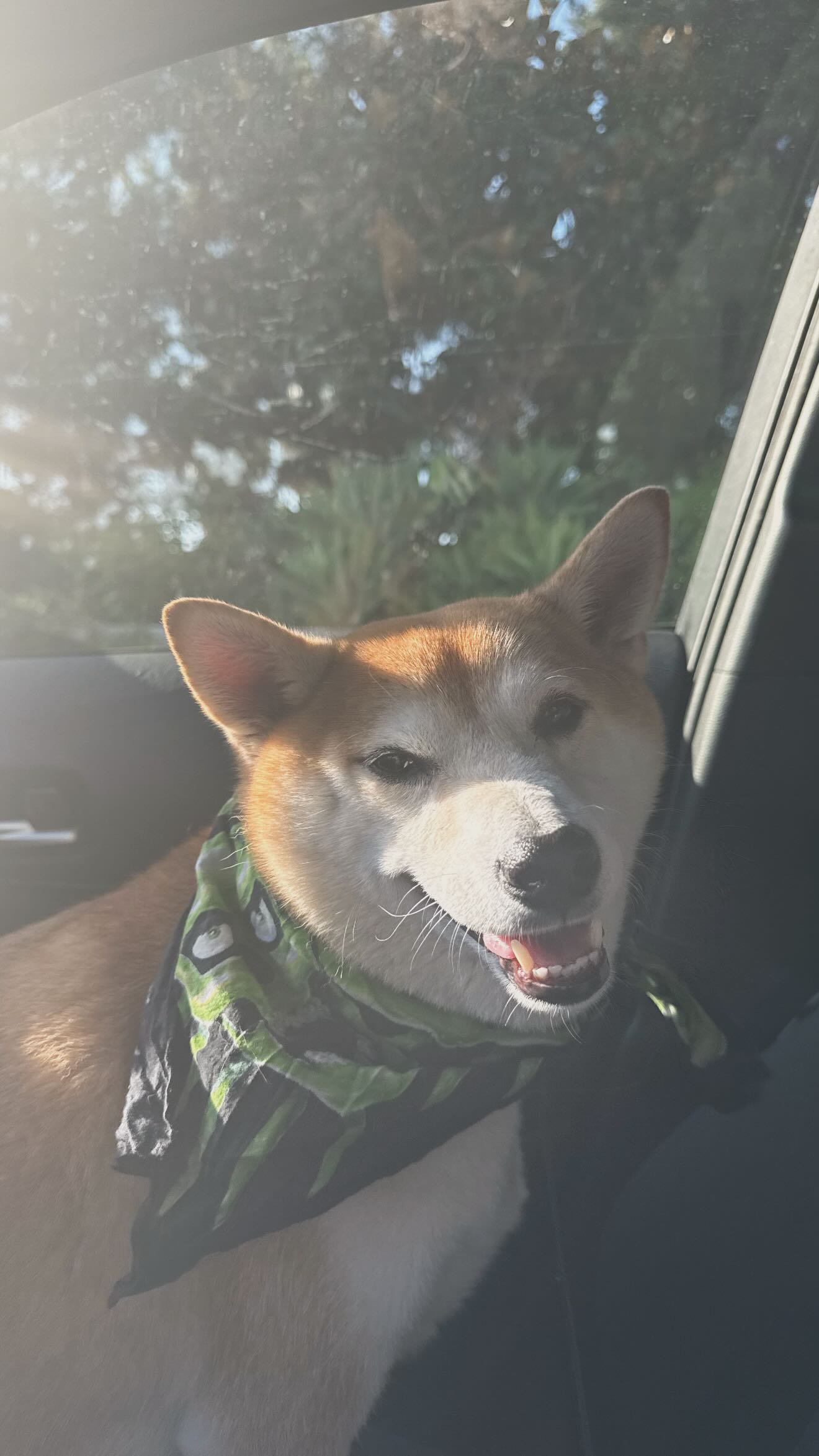 zommmbri instagram image archive image