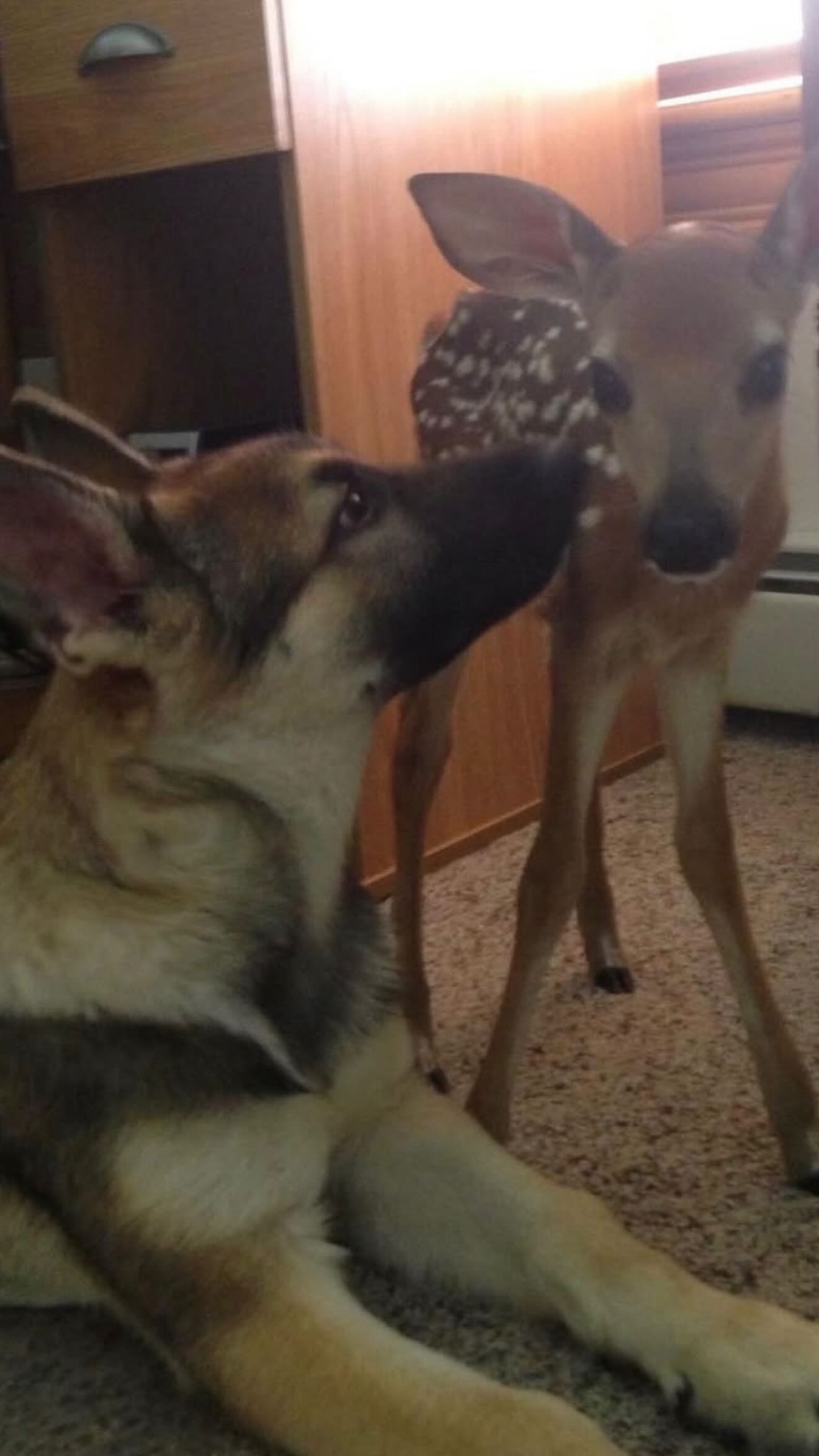 zommmbri instagram image archive image