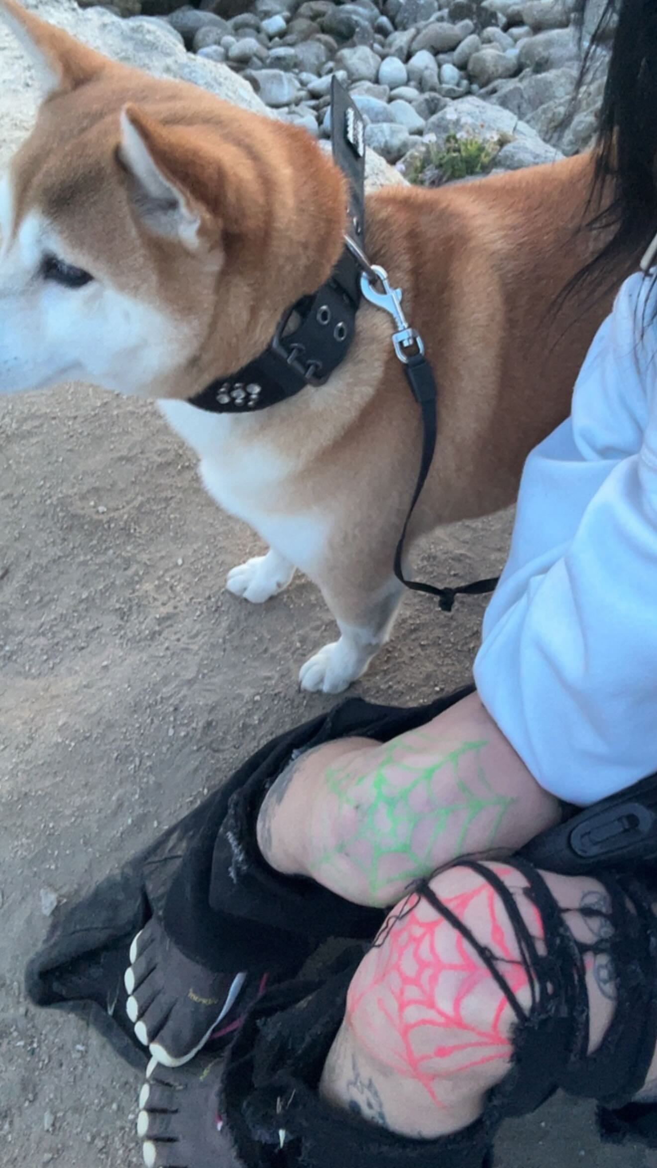 zommmbri instagram image archive image