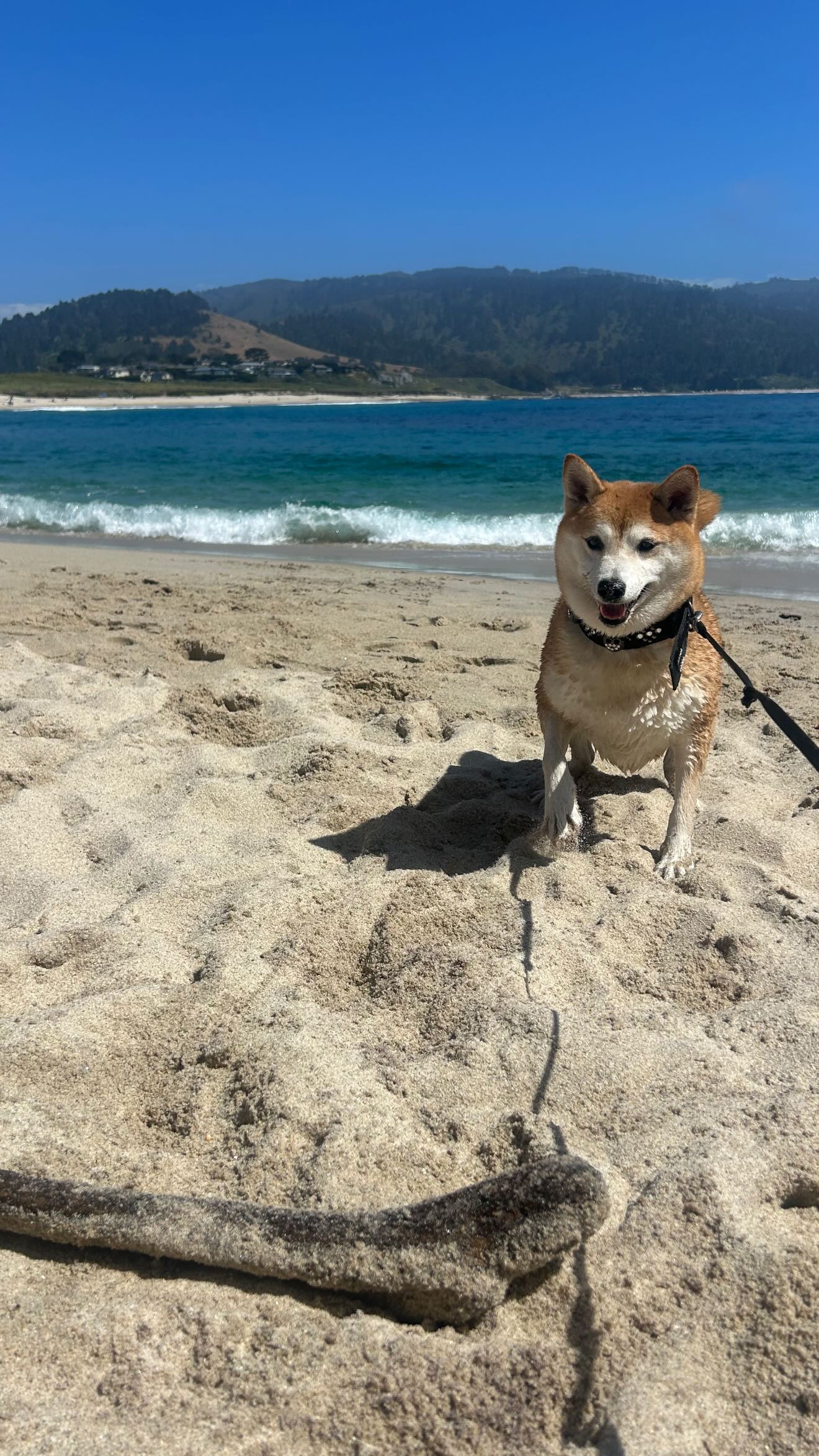 zommmbri instagram image archive image