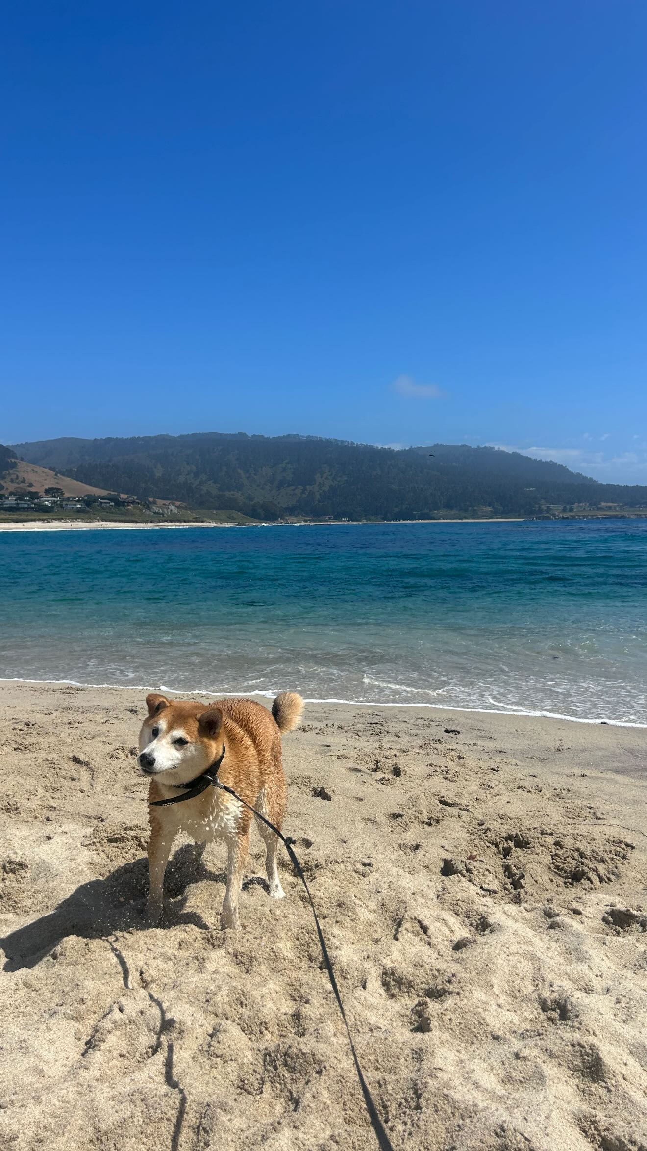 zommmbri instagram image archive image