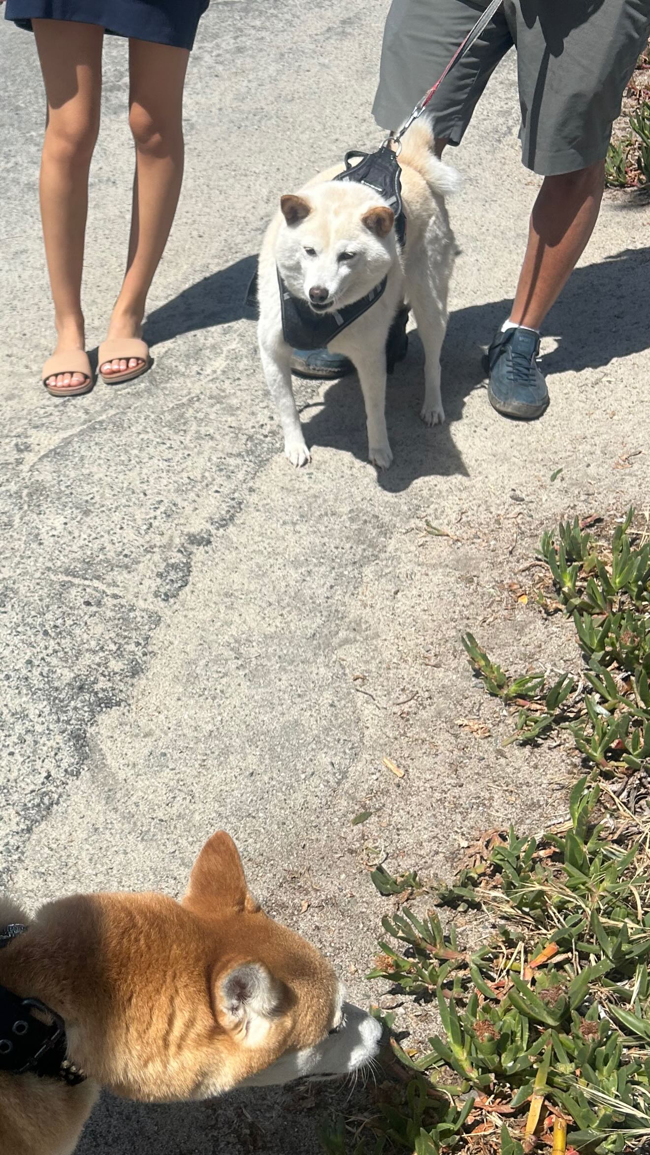 zommmbri instagram image archive image