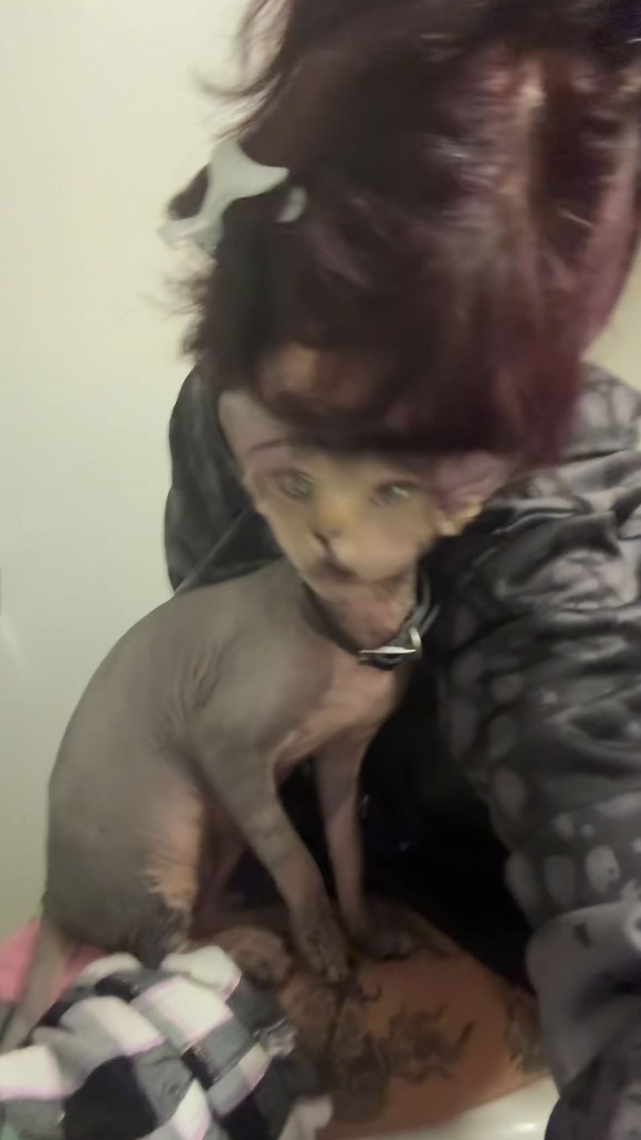 zommmbri instagram image archive image