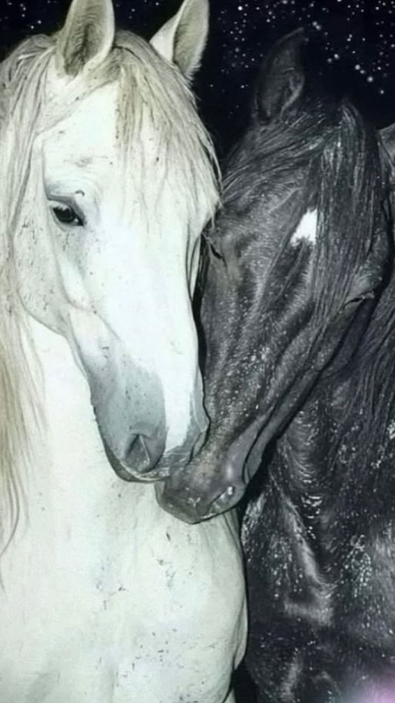 zommmbri instagram image archive image