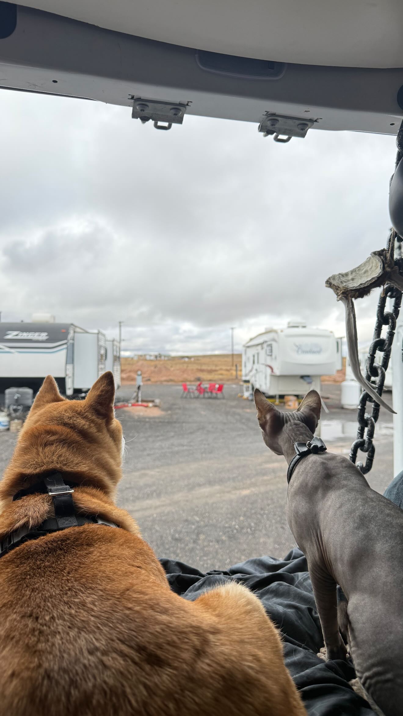 zommmbri instagram image archive image