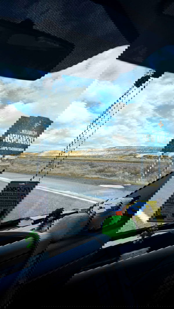 zommmbri image ~ Altpins