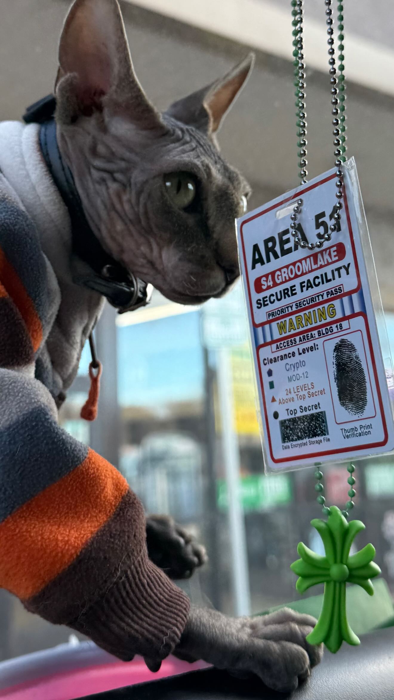 zommmbri instagram image archive image