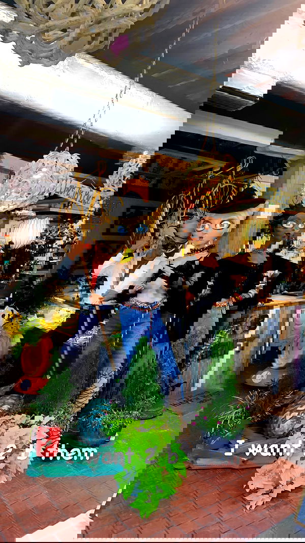 zoxmbiex image ~ Altpins