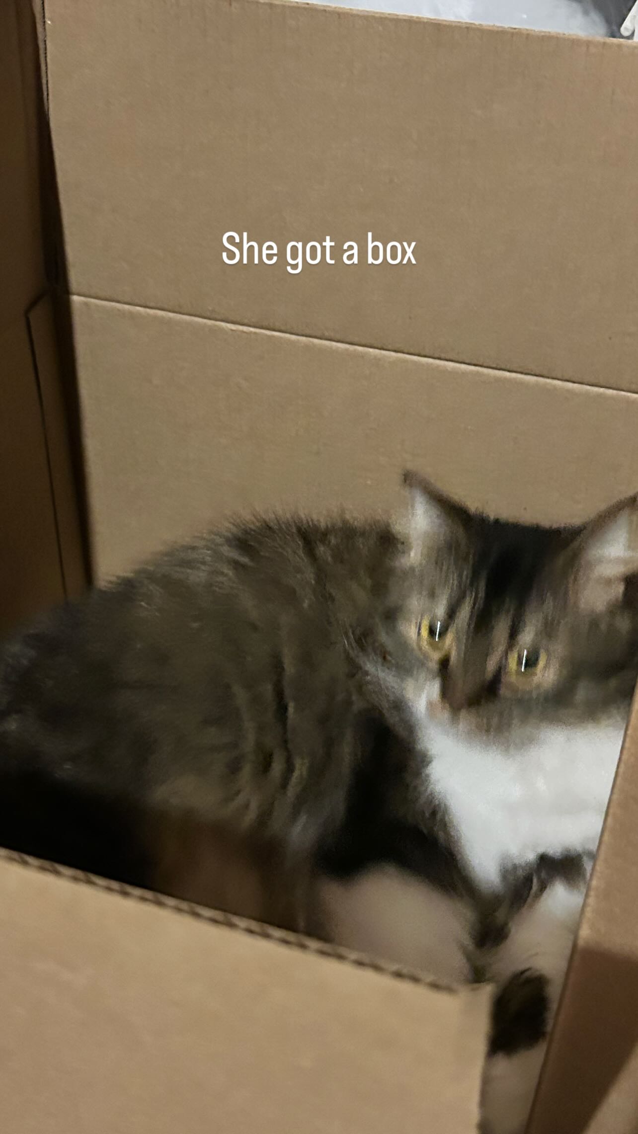 zoxmbiex instagram image archive image