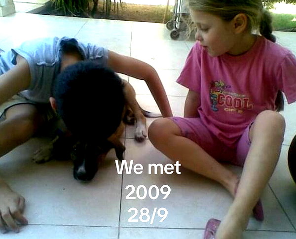liliashaked tiktok image archive image