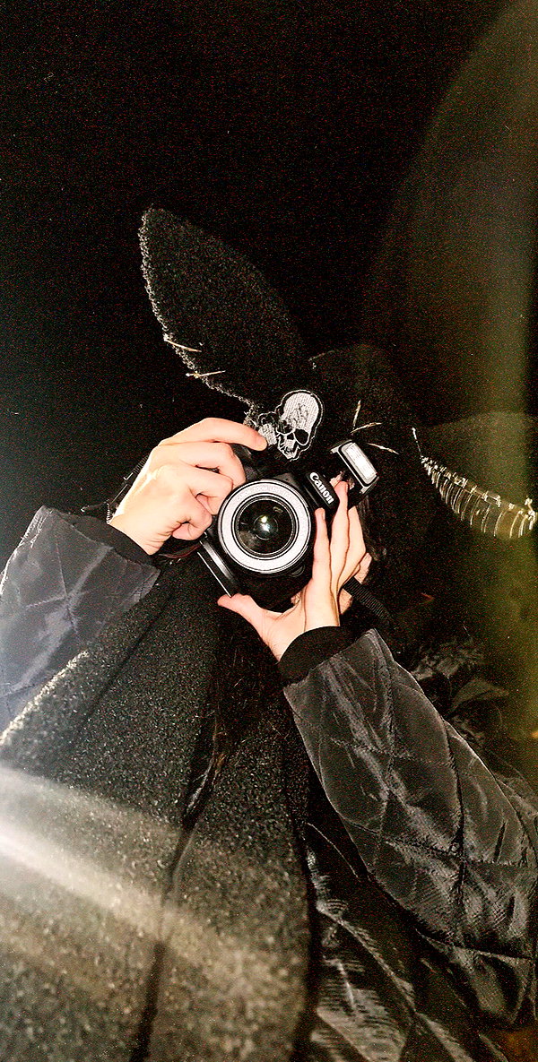 liliashaked tiktok image archive image