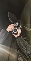 liliashaked Altpins Profile Picture