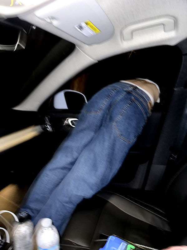 nevaaadaa nevaaadaa archive image