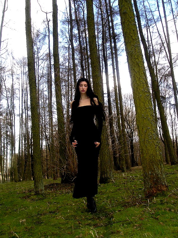 quincymood quincymood archive image