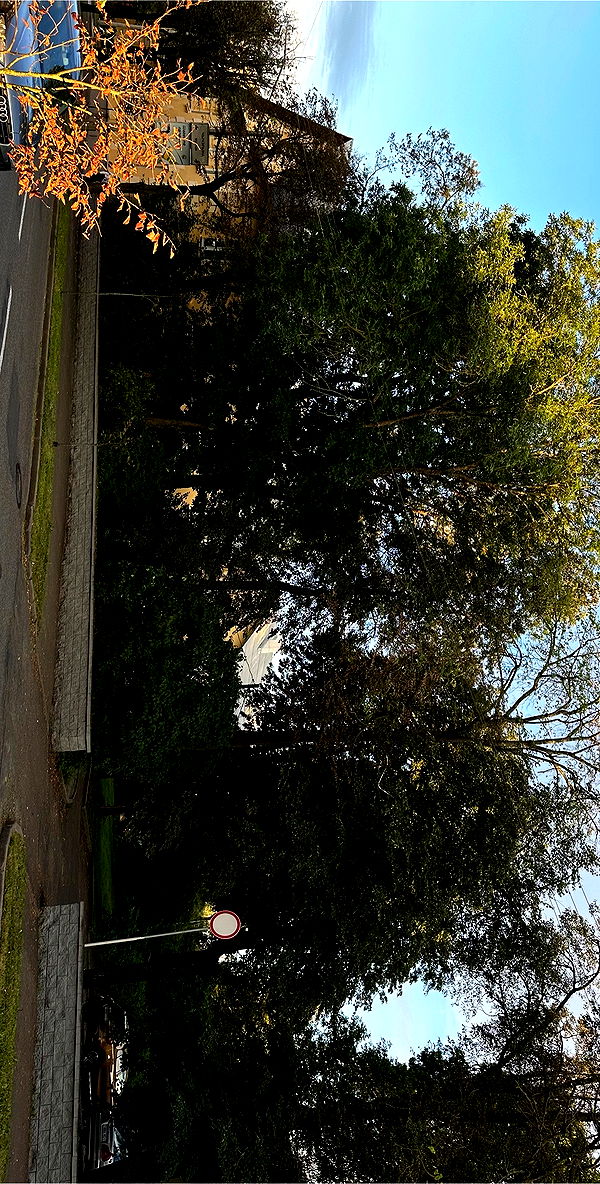 quincymood quincymood archive image