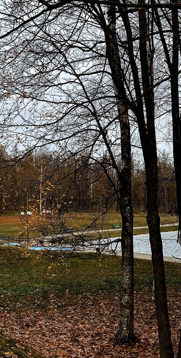 quincymood quincymood archive image