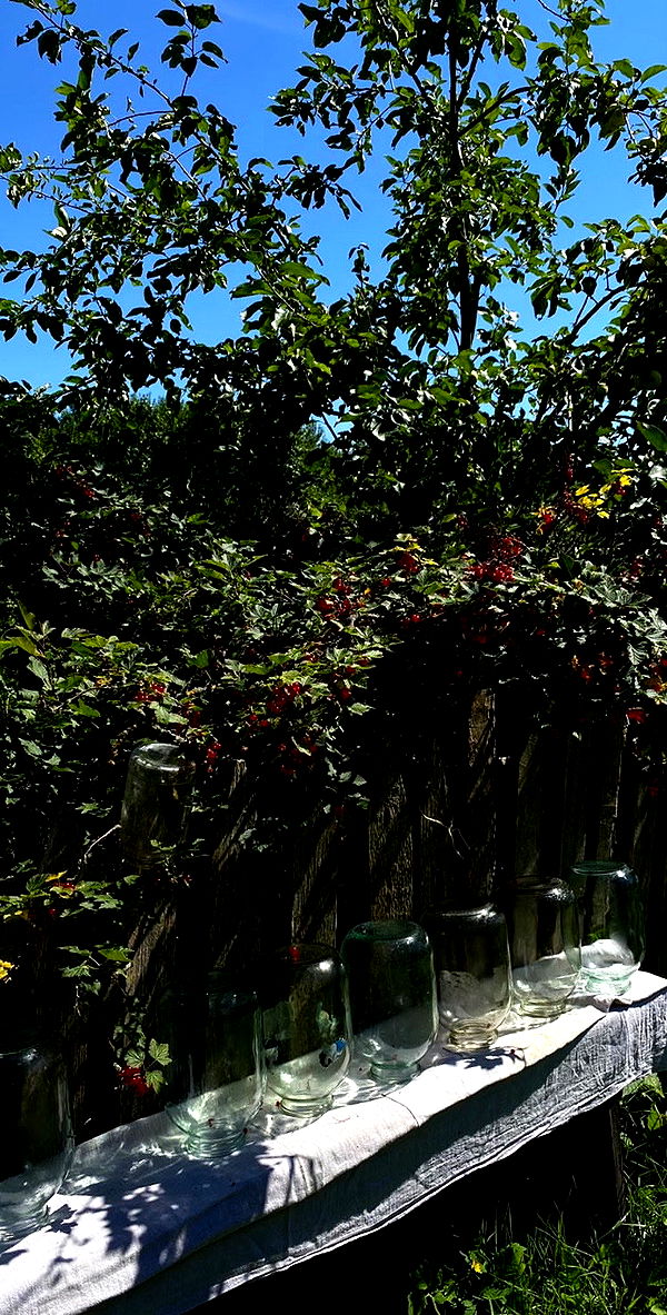 quincymood quincymood archive image