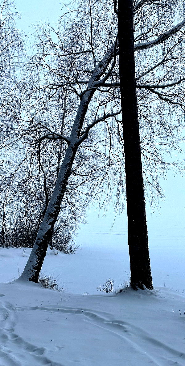 quincymood quincymood archive image