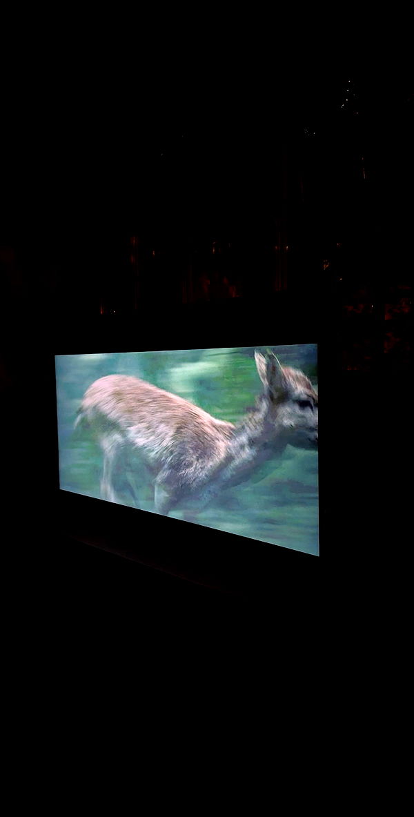 quincymood quincymood archive image