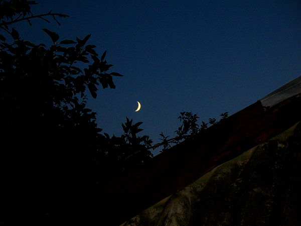 quincymood quincymood archive image