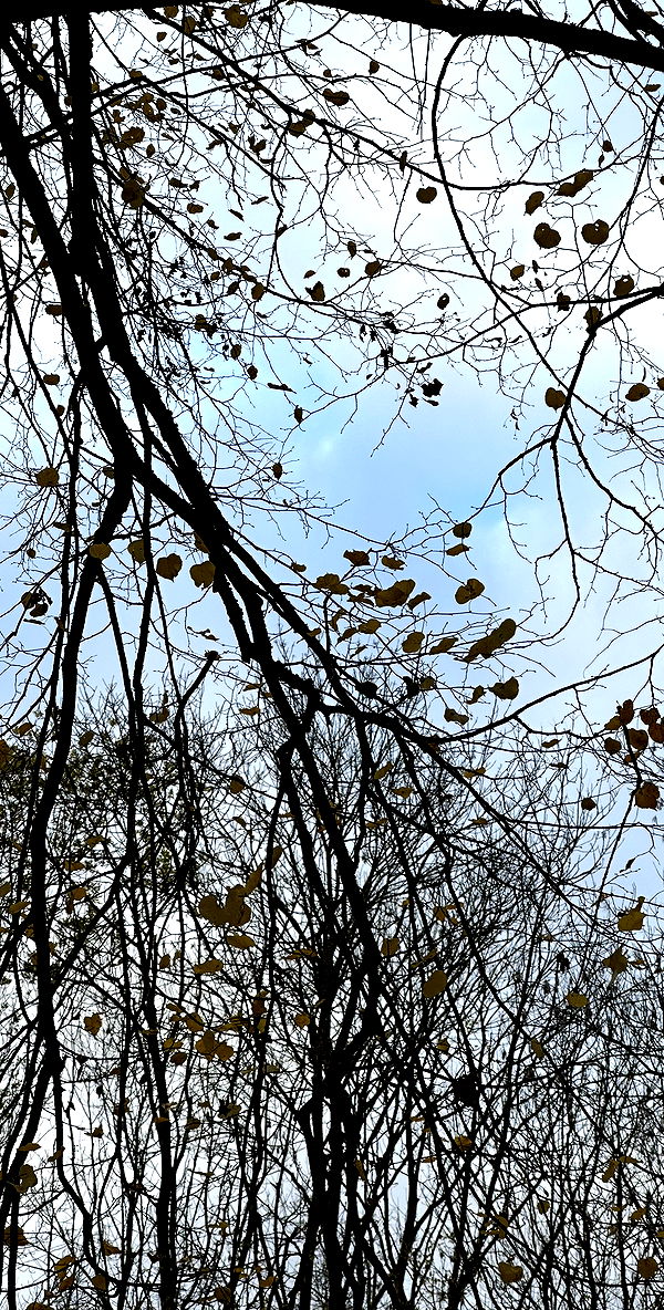 quincymood quincymood archive image