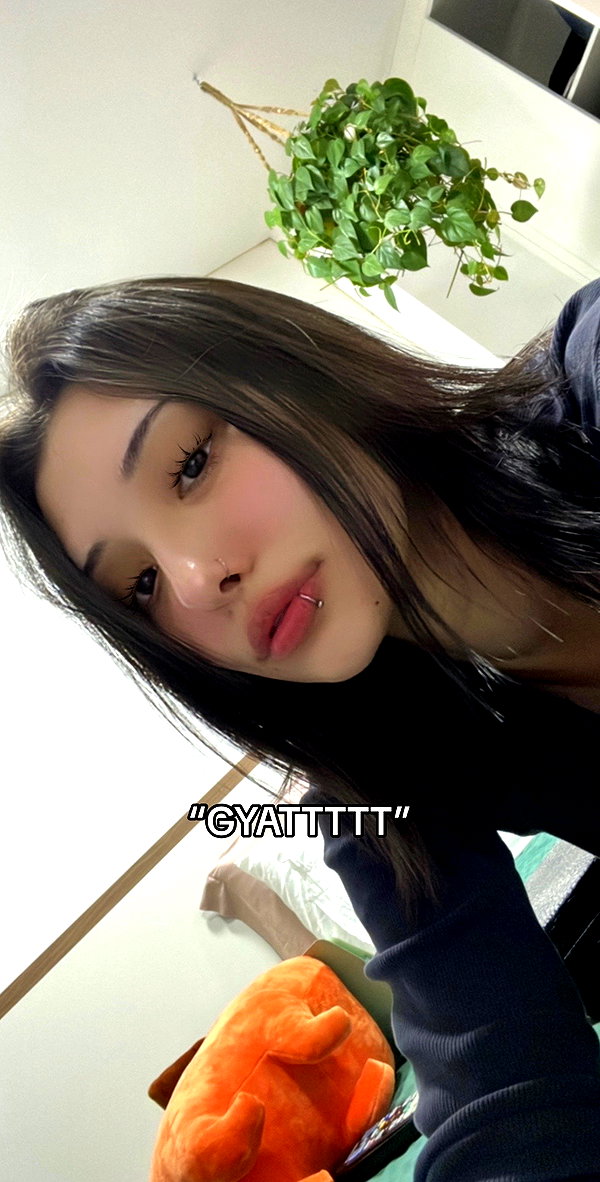 voulezjj tiktok image archive image