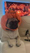 natalie_val3 Altpins Profile Picture