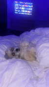 natalie_val3 Altpins Profile Picture