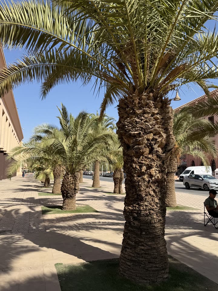 melekjen  image archive image