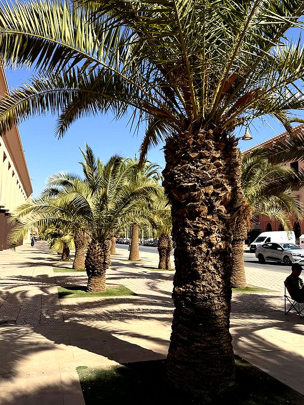 melekjen image ~ Altpins