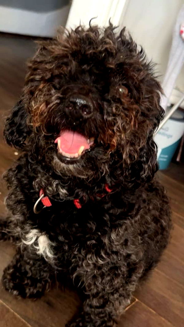 melekjen image ~ Altpins