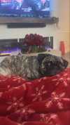 natalie_val3 Altpins Profile Picture