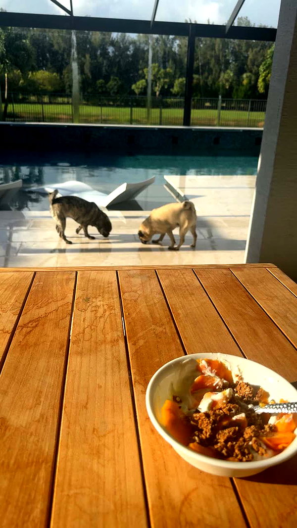 natalie_val3  image archive image