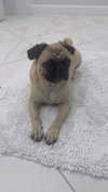 natalie_val3 Altpins Profile Picture