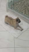natalie_val3 Altpins Profile Picture