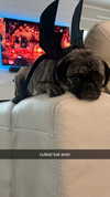 natalie_val3 Altpins Profile Picture