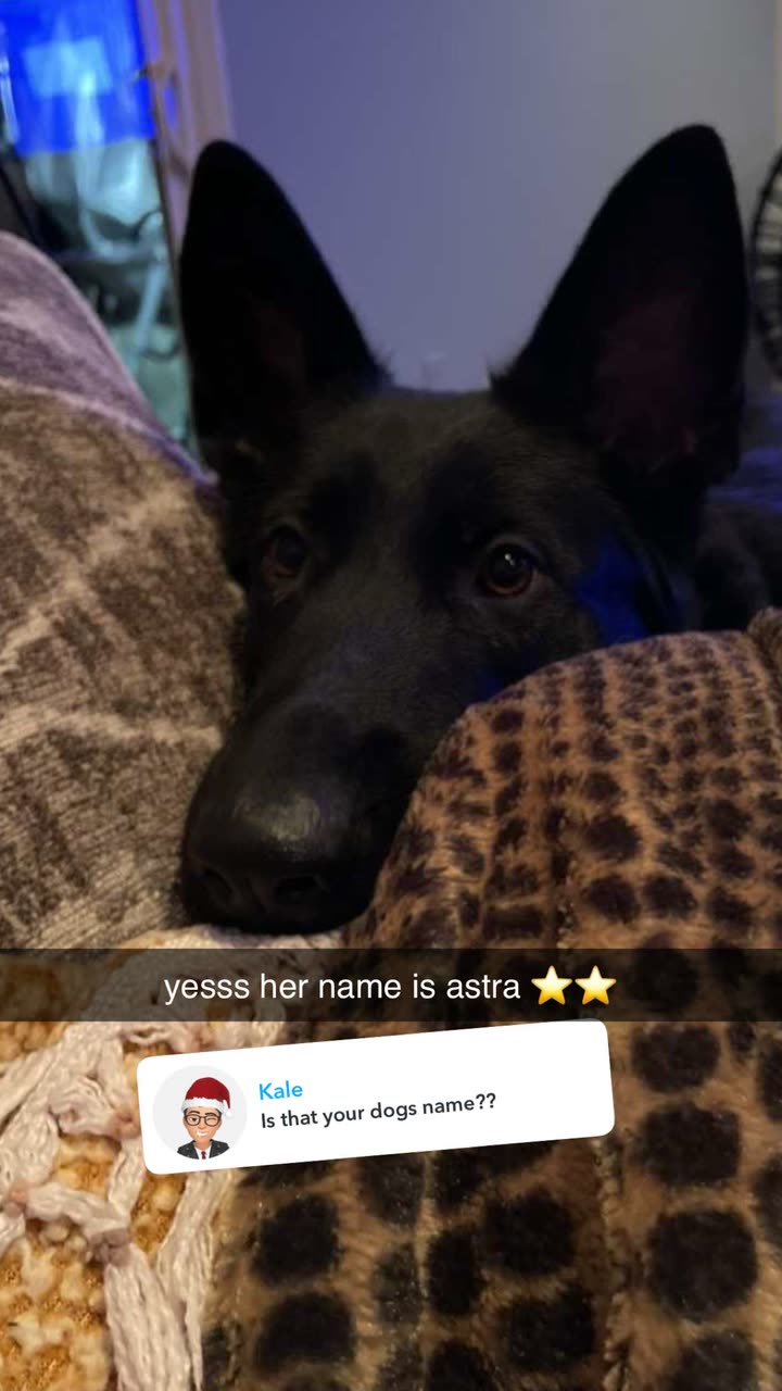 kaykayd29  image archive image