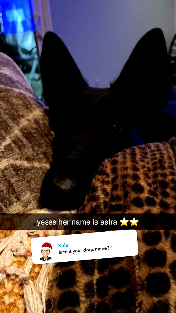 kaykayd29 image ~ Altpins