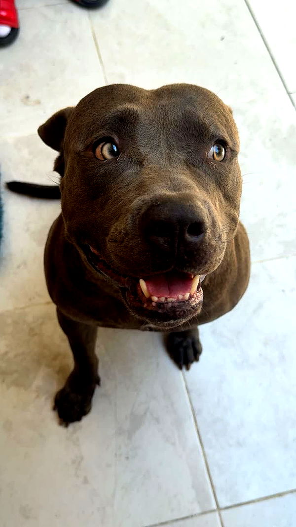 melekjen image ~ Altpins